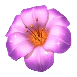 Symbol
