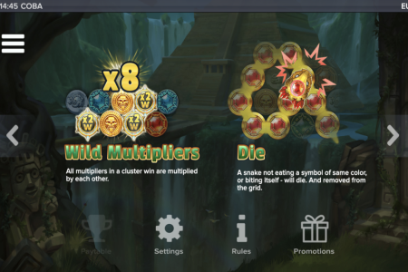 Multiplicador Wild y Dado