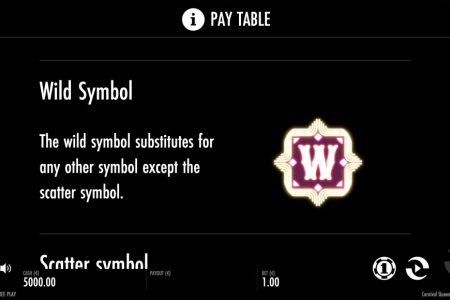 Wild Symbol