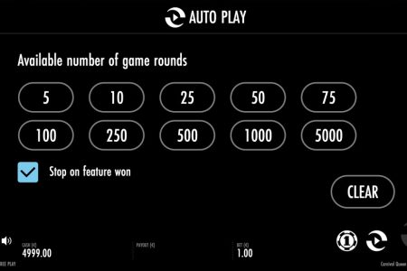 Autoplay option