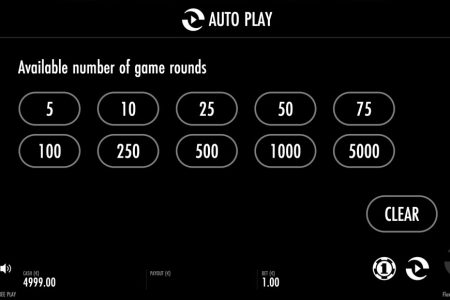 Opción de Reproducción Automática