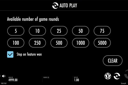 Opção de Reprodução Automática