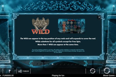 Wild symbol