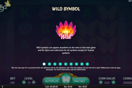 Wild symbol