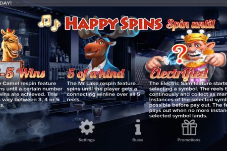 Happy Spins rules 1
