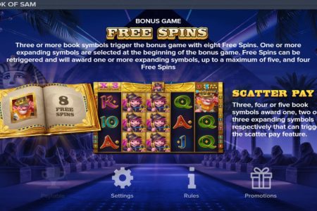 Free Spins rules