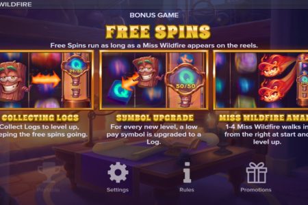 Free Spins rules