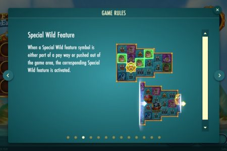 Special Wild feature rules