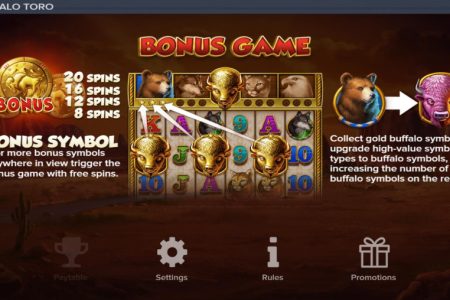 Reglas de Giros Gratis