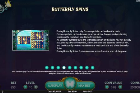 Butterfly Spins rules