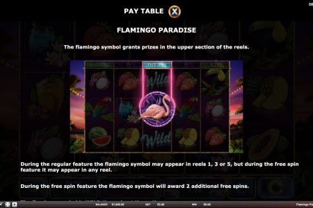 Flamingo Paradise