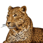 Símbolo