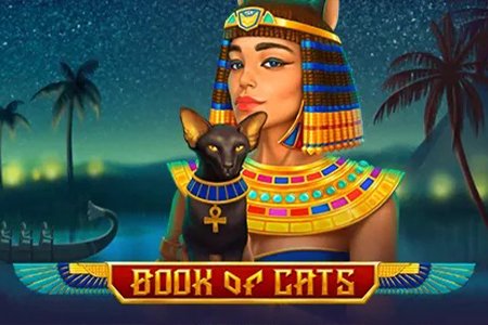 Book of Cats Slot Review