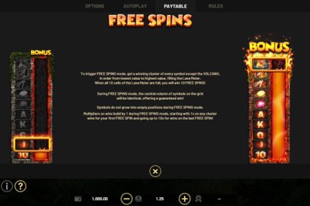 Free Spins rules