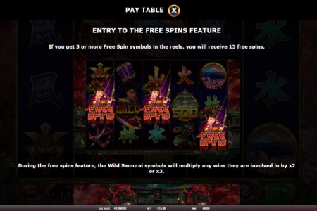 Free Spins rules 1
