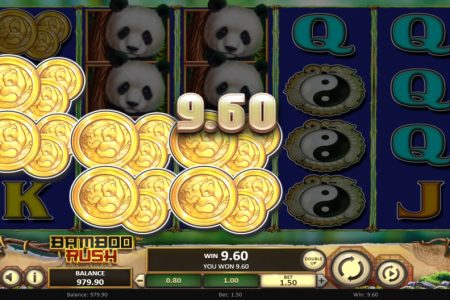 Combinación ganadora