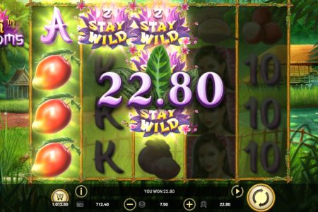 Combinación Ganadora