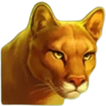 Symbol