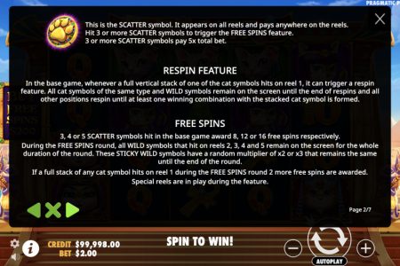 Re-spin and Free Spin Features