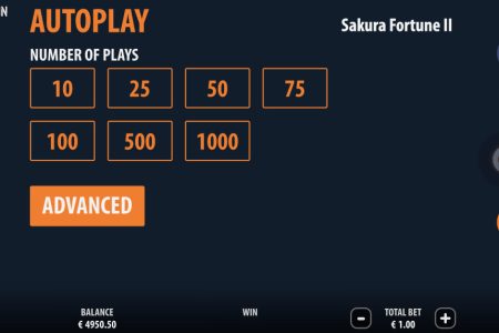 Función de Reproducción Automática