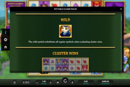 Wild symbol