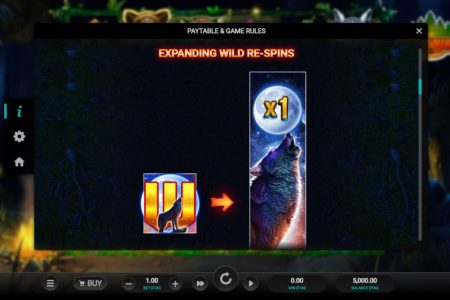 Expanding Wild Re-Spins rules 1