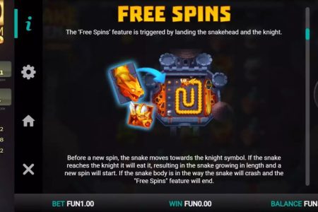Free Spins rules 1
