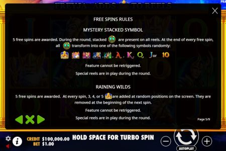 Free Spins rules 2