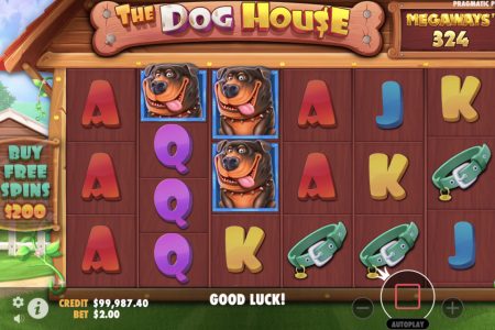 Carretes de la tragamonedas