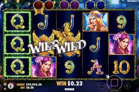 Rodillos del Tragaperras