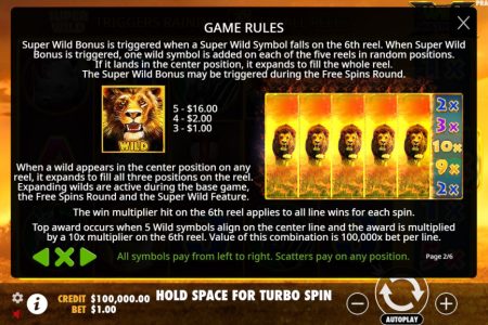 Reglas del Super Wild Bonus