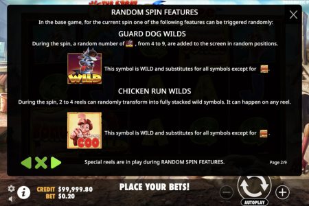 Random Spin Features