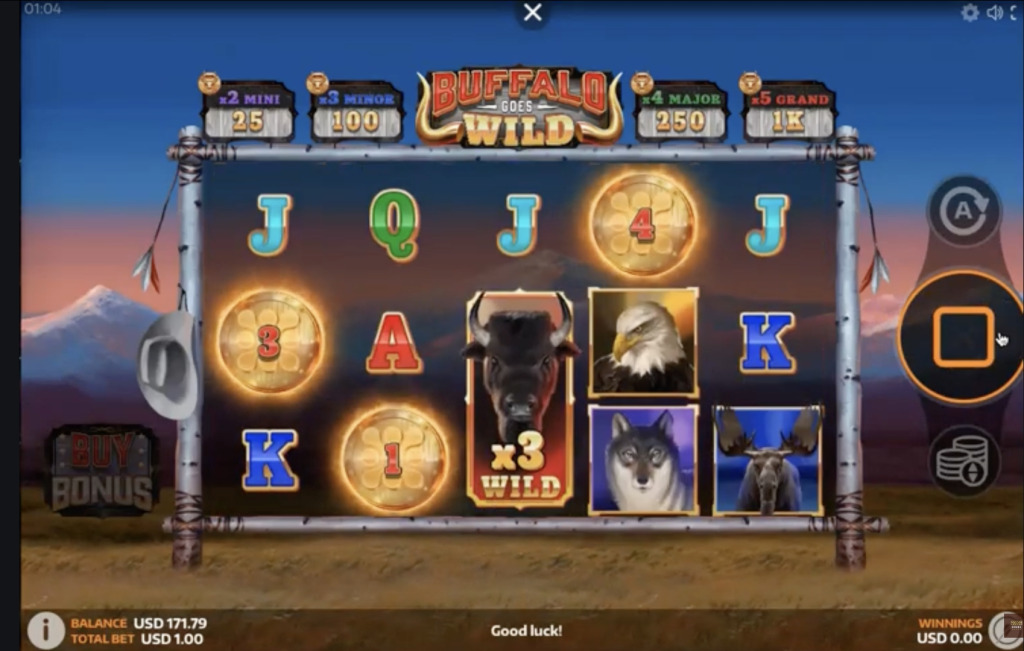 Buffalo Goes Wild Demo
