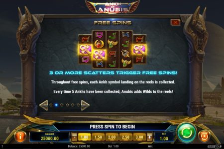 Free Spins rules 1