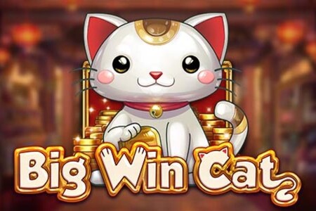 Big Win Cat Slot Review