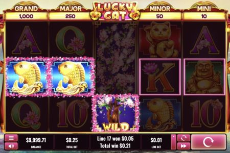 Combinación ganadora