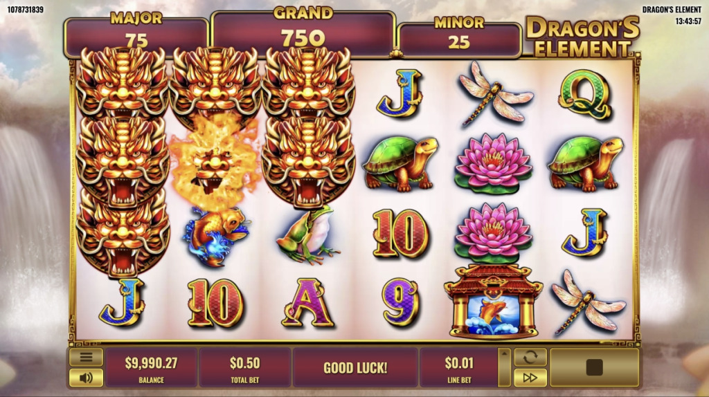 Función de Conexión Wild