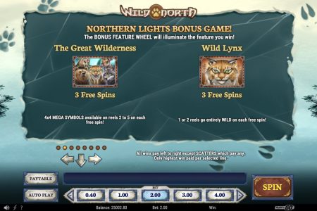 The Great Wilderness and Wild Lynx