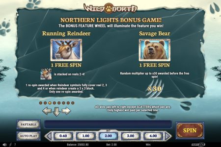 Running Reindeer and Savage Bear