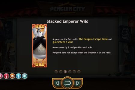 Pingüino Emperador Apilado