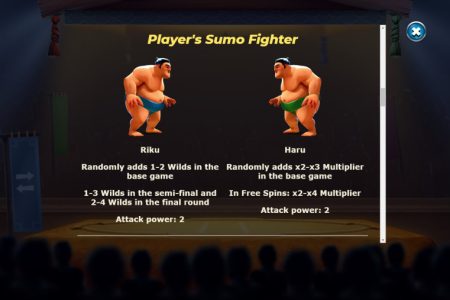 Luchadores de sumo 1