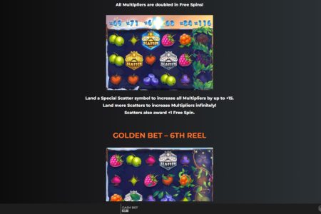 Reglas de los giros gratis 2