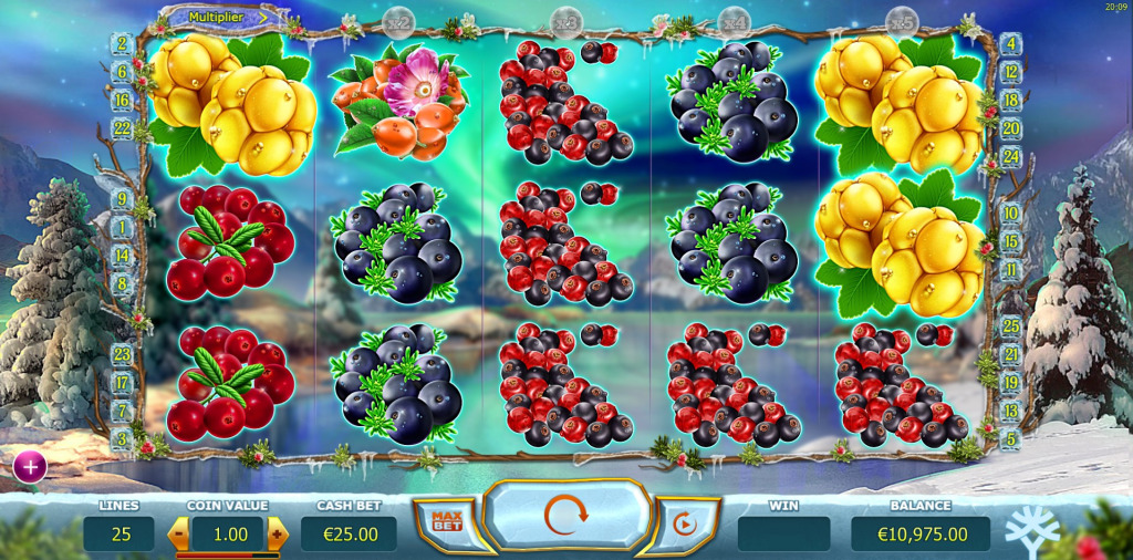 Winterberries Demo