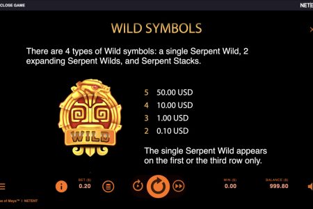 Wild Symbol