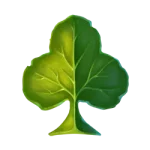 Símbolo