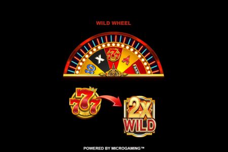 Função Roda Wild