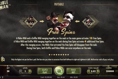 Free Spins rules 1
