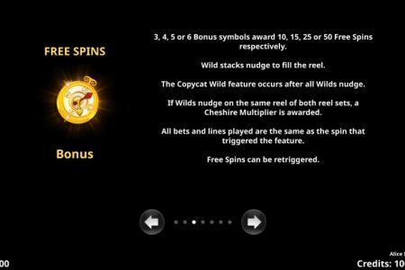 Free Spins rules