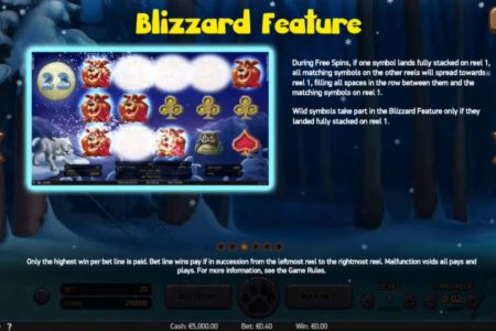 Blizzard feature rules