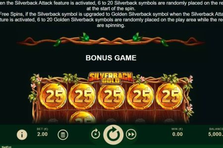 Regras da Função Ataque do Costas Prateadas